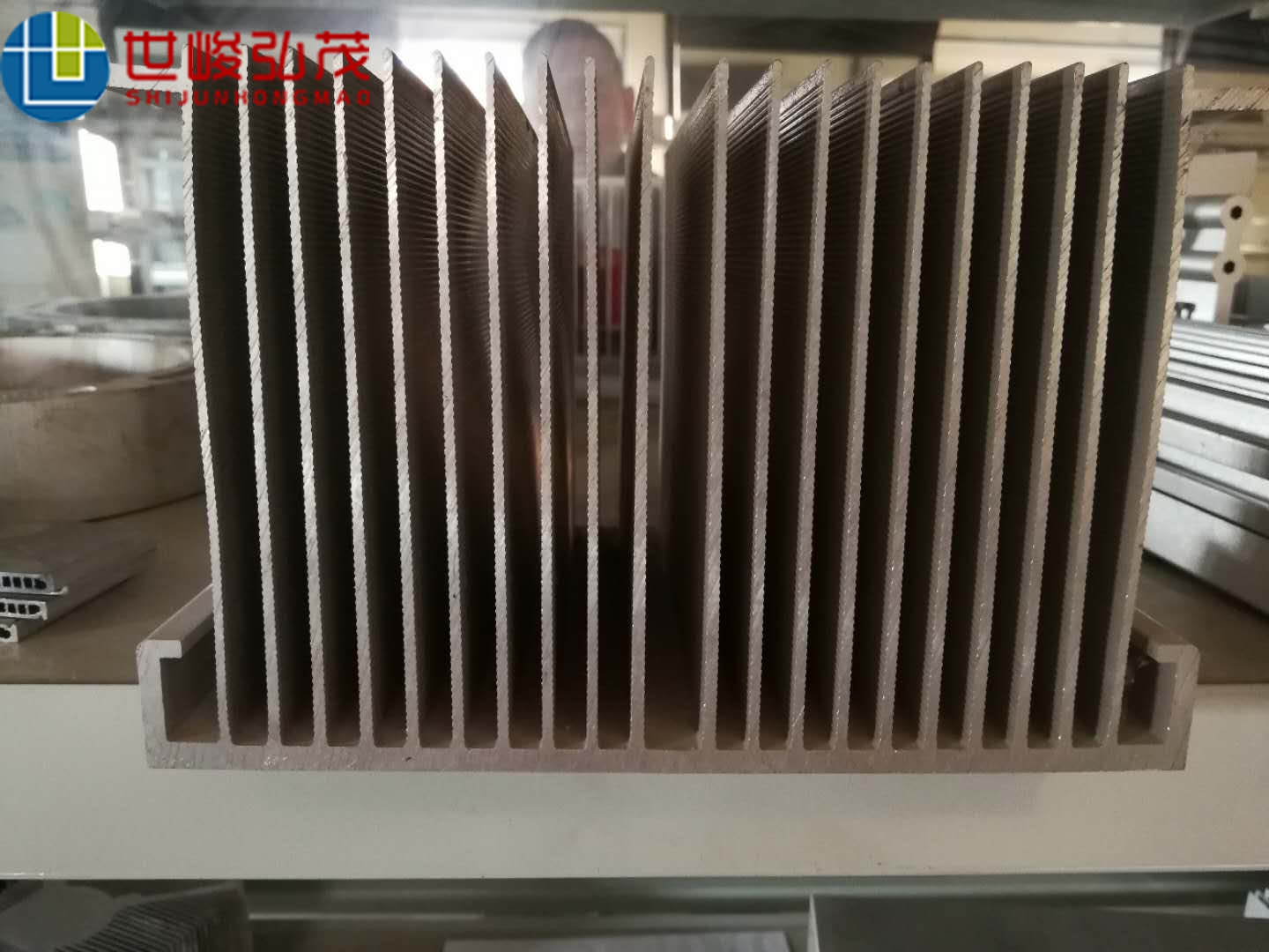 電子散熱器鋁型材-1 電子散熱器鋁型材-1