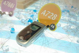 2005年中國國際通信設備技術展 8號館摩托羅拉產品秀圖片回顧